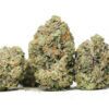Pink Tuna AA 1 Pink tuna aa restock.jpg