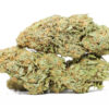 Punch Breath AAA 2 Punch Breath AAA restock.jpg