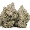 Purple God AAA 1 Purple God 2.jpg