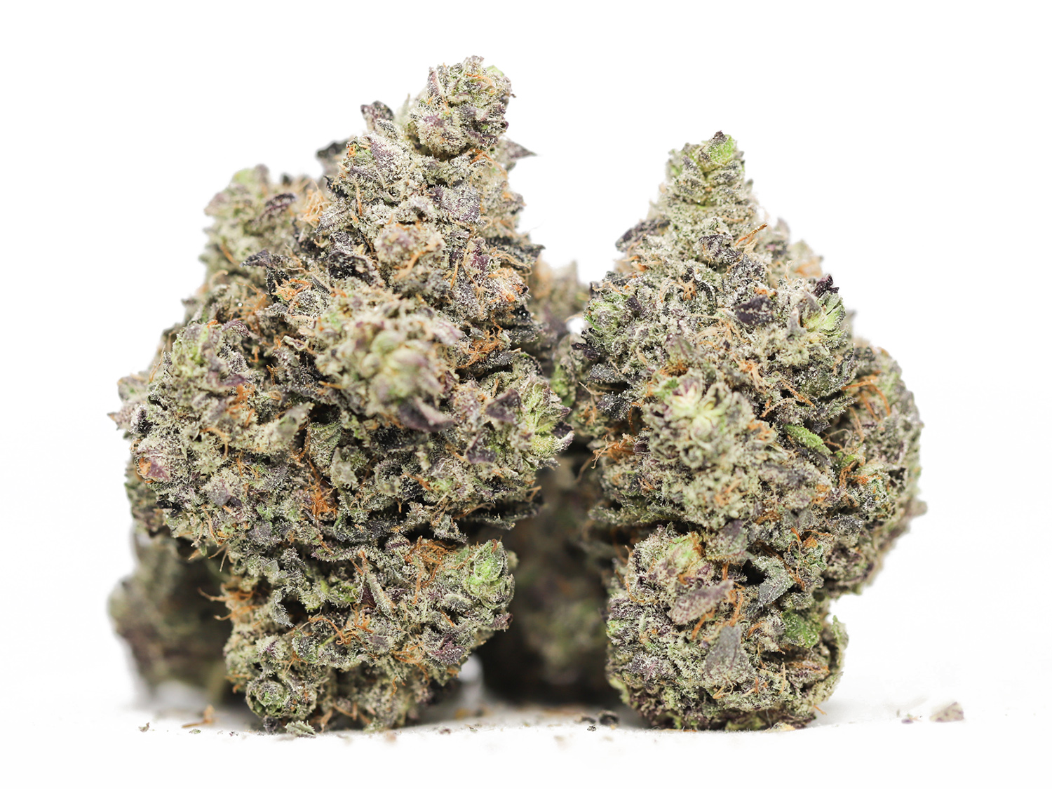 Purple God 2.jpg Purple God 2.jpg