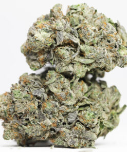 Purple God AAAA restock 5.jpg