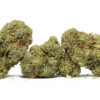 Purple urkle AA special 69.jpg