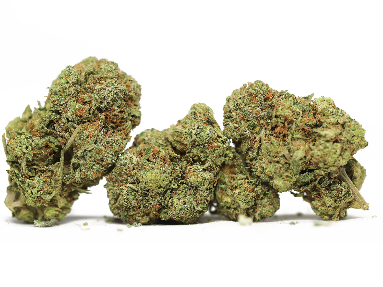 Purple urkle AA special 69.jpg Purple urkle AA special 69.jpg