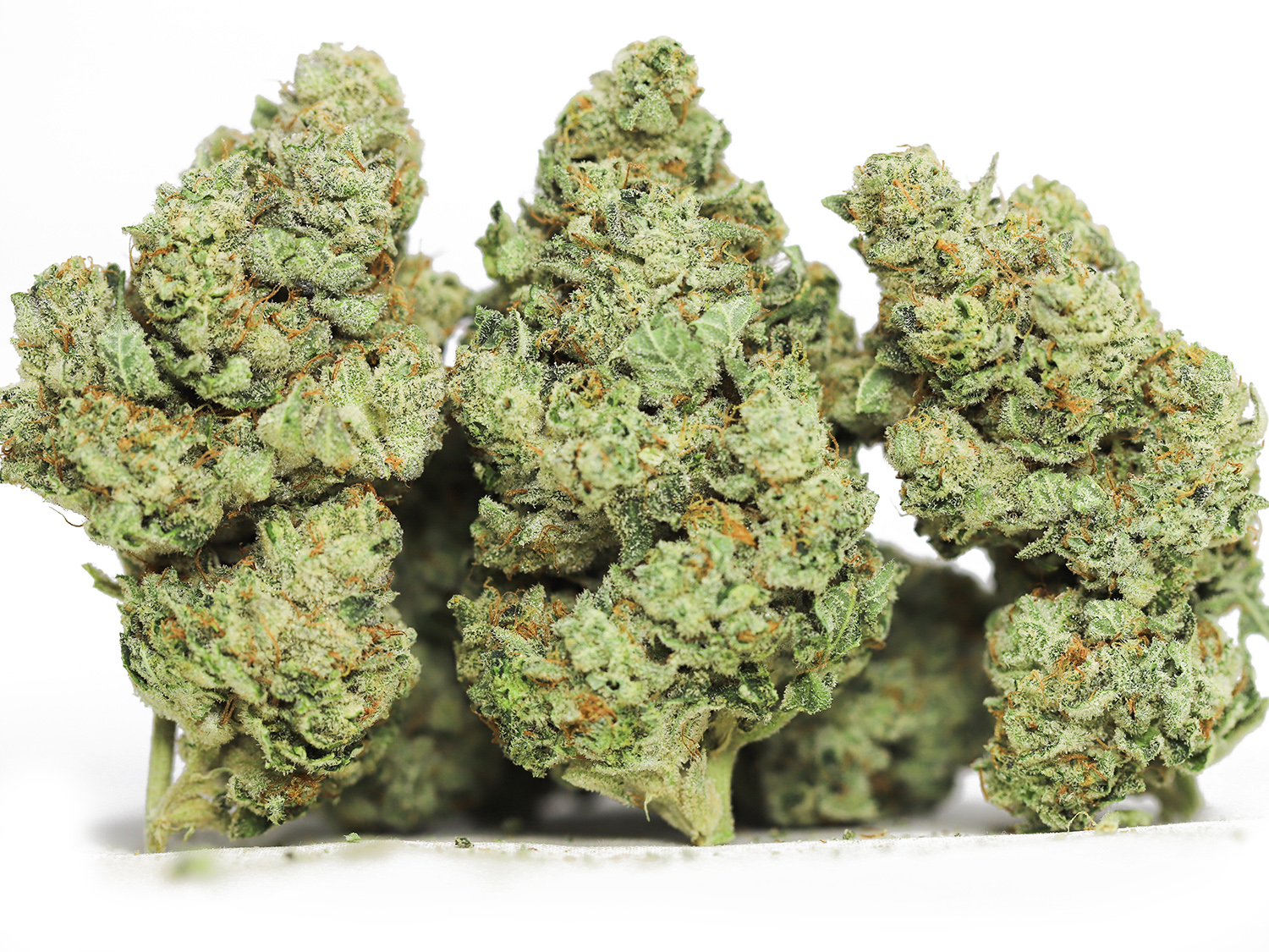 Quantum kush aaaa.jpg Quantum kush aaaa.jpg