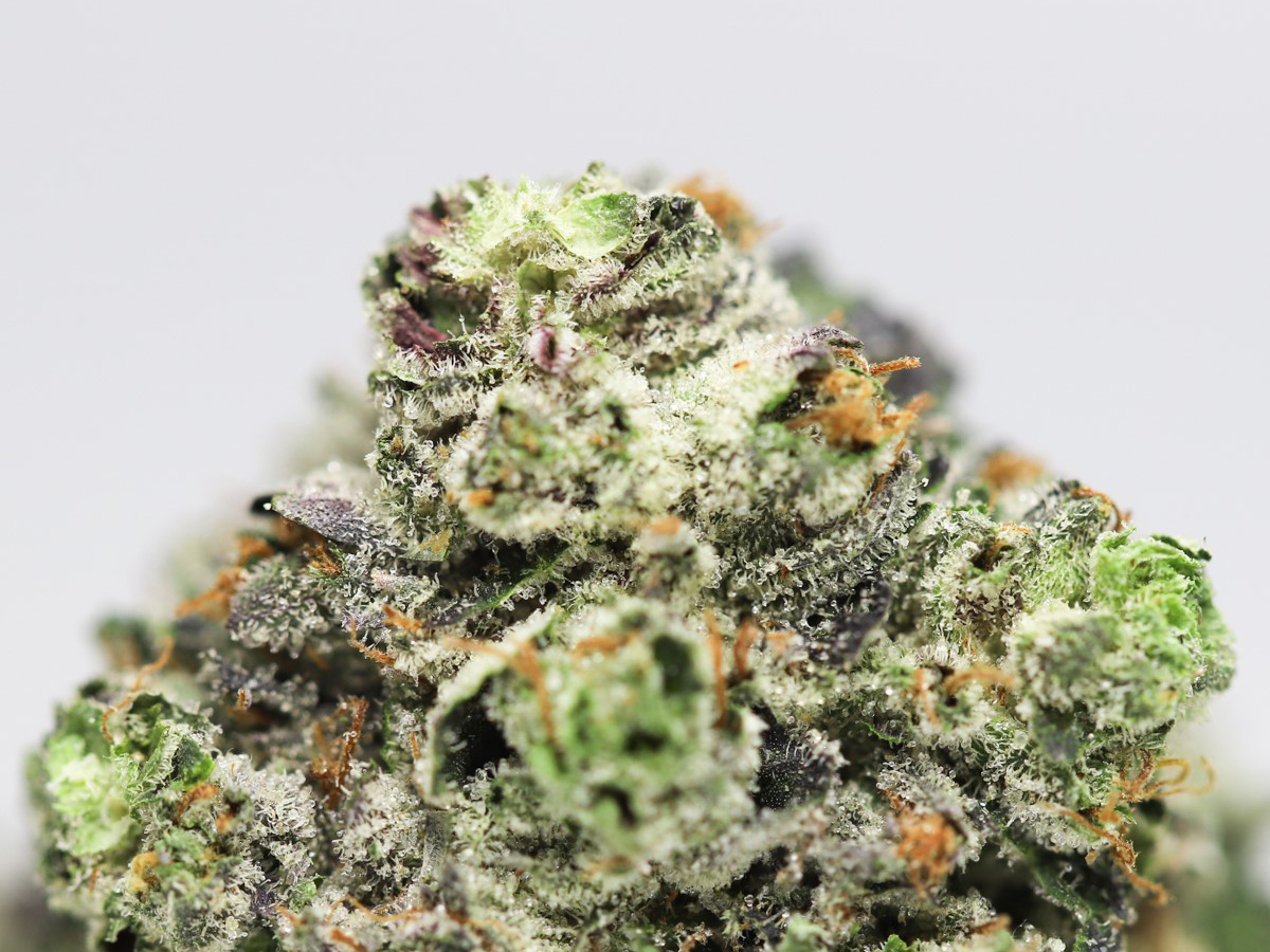 ROCKET FUEL AAA CLOSE UP 1.jpg ROCKET FUEL AAA CLOSE UP 1.jpg