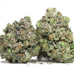 ROCKET FUEL AAA RESTOCK 3.jpg