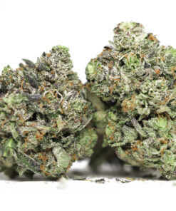 ROCKET FUEL AAA RESTOCK 3.jpg
