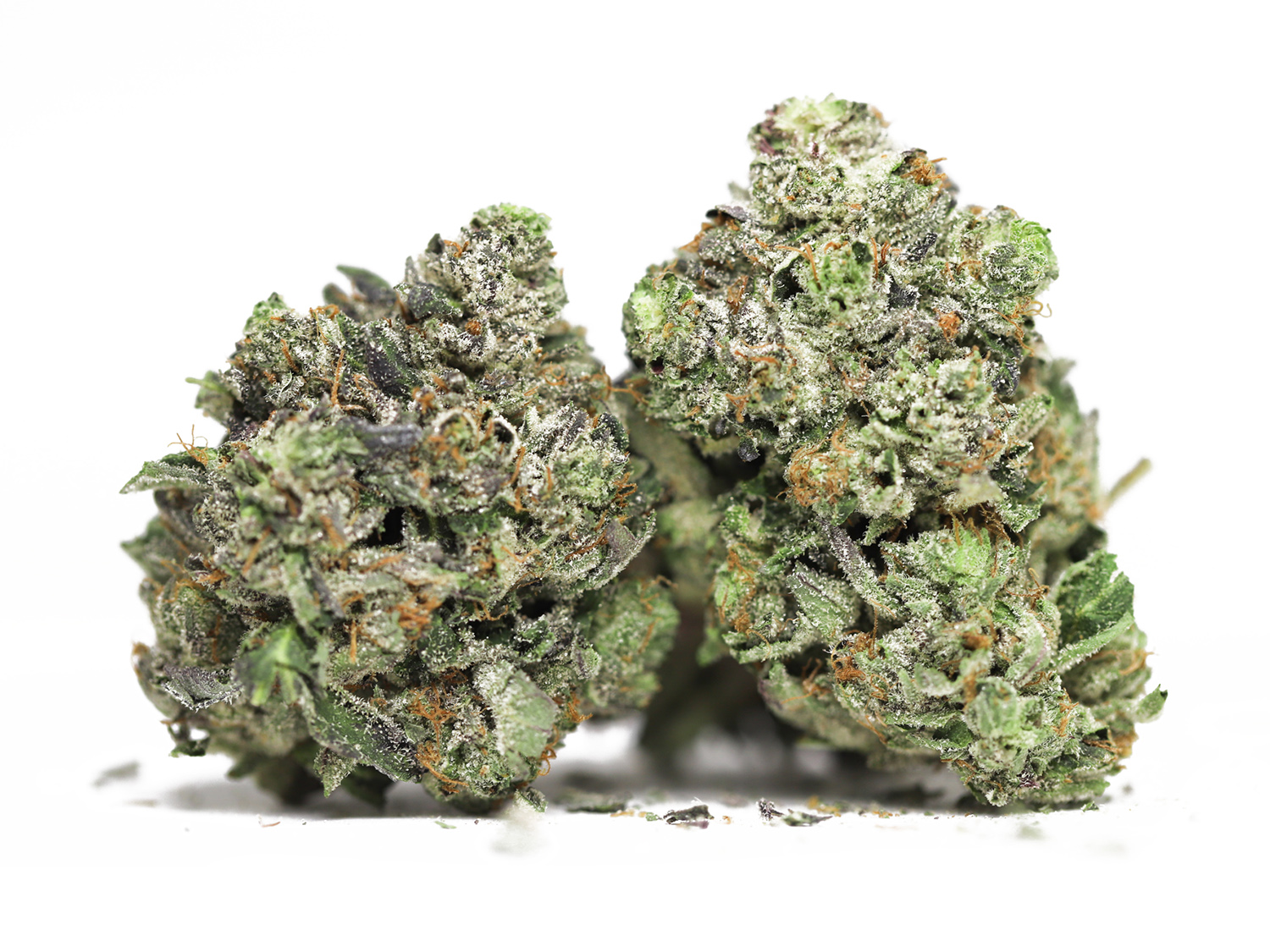 ROCKET FUEL AAA RESTOCK 3.jpg ROCKET FUEL AAA RESTOCK 3.jpg