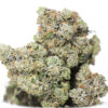 ROCKET FUEL AAAA RESTOCK.jpg