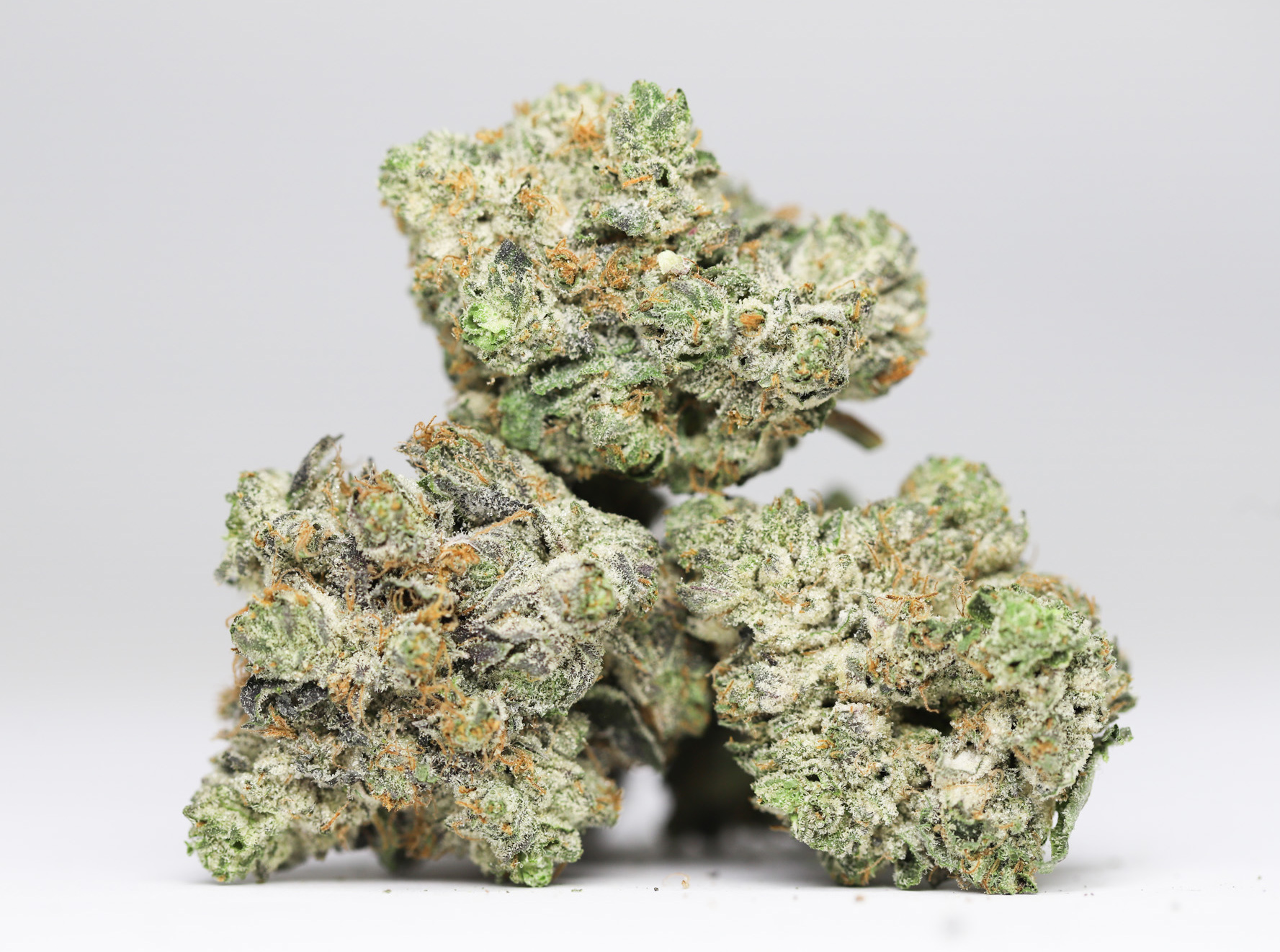ROCKSTAR KUSH AA RESTOCK 1.jpg ROCKSTAR KUSH AA RESTOCK 1.jpg