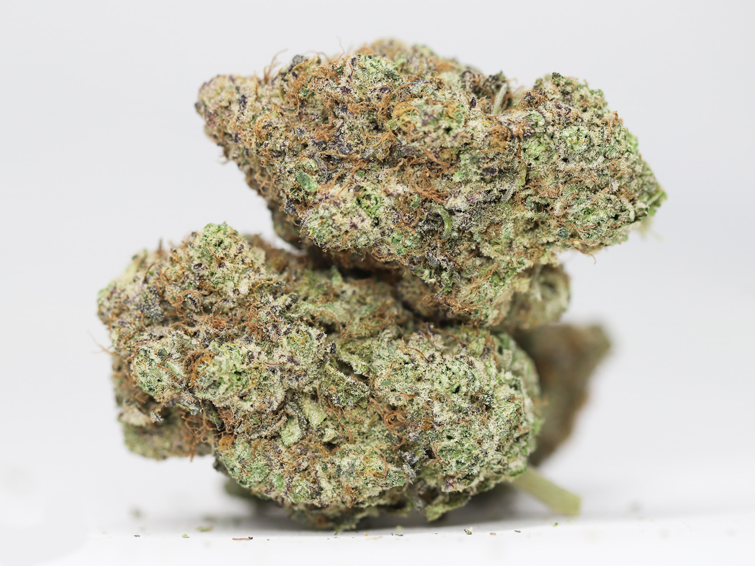 RUNTZ AAA RESTOCK.jpg RUNTZ AAA RESTOCK.jpg