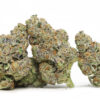 Rainbow Rozay AAAA 2 Rainbow Rozay AAAA.jpg