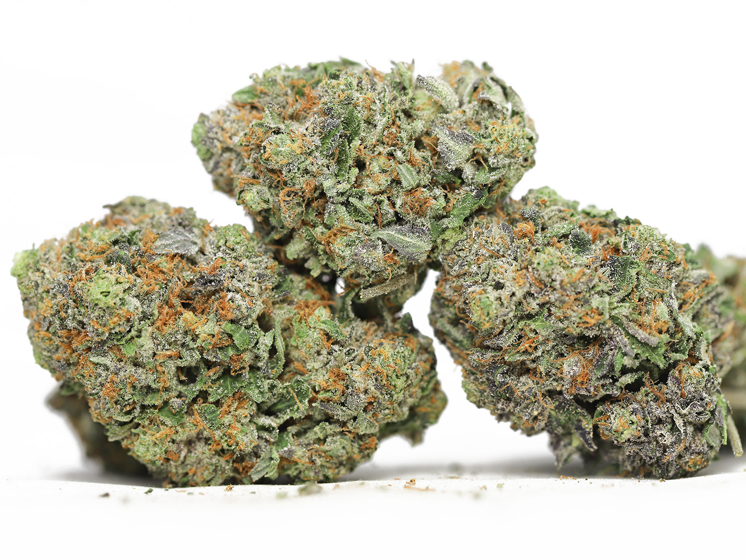 Rock Bubba AAA.jpg Rock Bubba AAA.jpg
