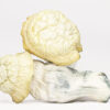 Shakti (shrooms) 1 SHAKTI SHROOMS.jpg