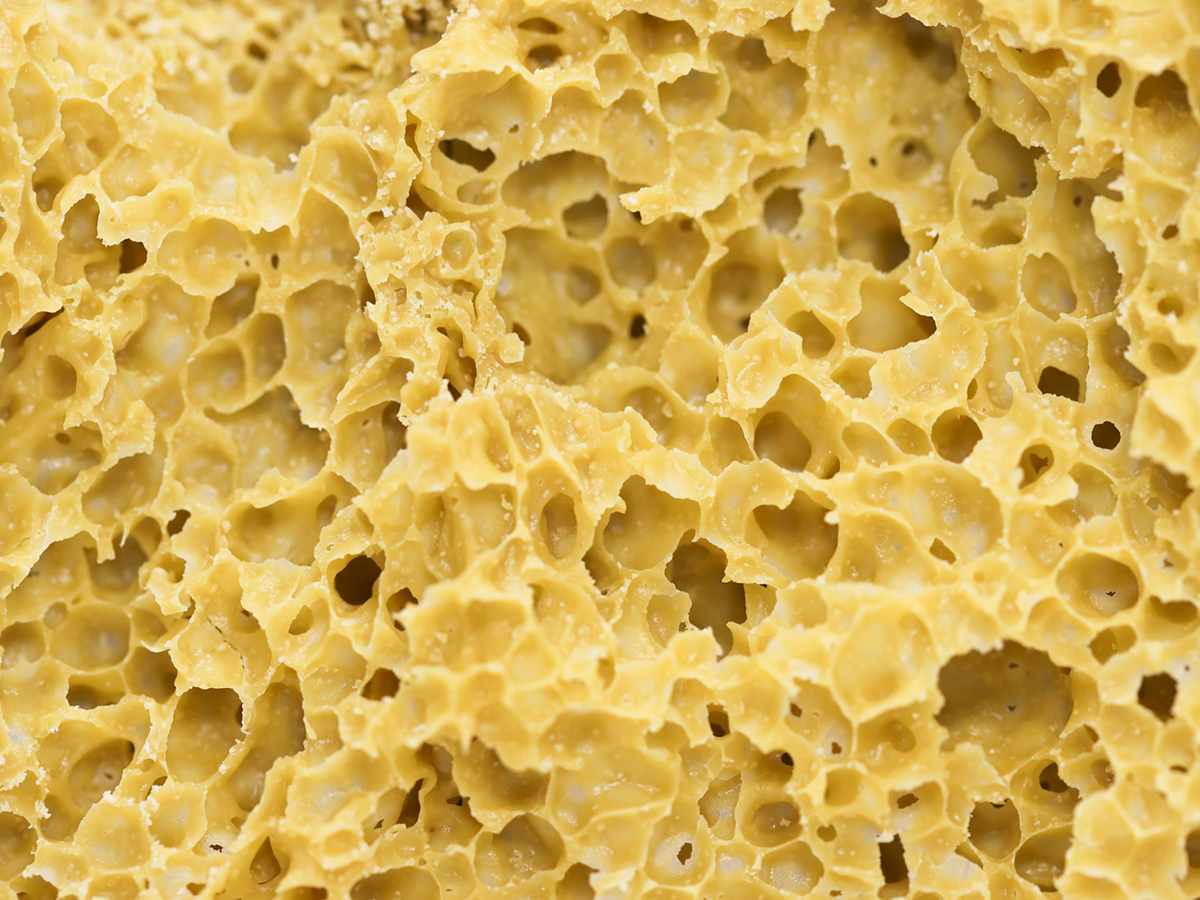 SHERBQUAKE CLOSE UP.jpg SHERBQUAKE CLOSE UP.jpg