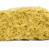 AAA+ House Honey Comb - Sherb Quake 2 SHERBQUAKE HONEY COMB.jpg