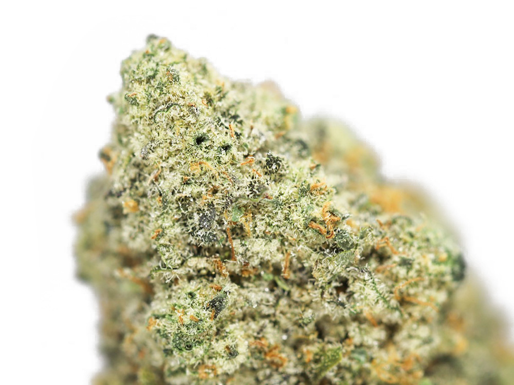 SKITTLZ CLOSE UP.jpg SKITTLZ CLOSE UP.jpg