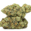 Snickerdoodle AA 2 SNICKERDOODLE AA RESTOCK 1.jpg