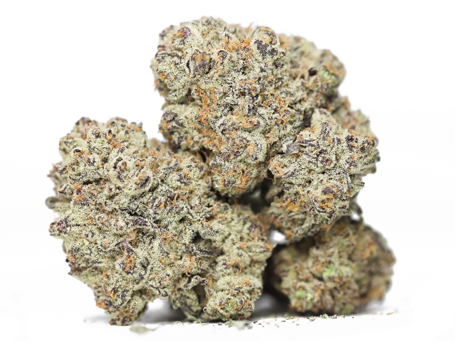 SNOOP S DREAM AAA RESTOCK 1.jpg SNOOP S DREAM AAA RESTOCK 1.jpg