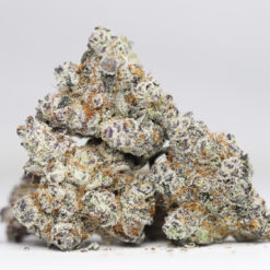 SNOW WHITE AAAA RESTOCK.jpg