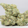 SNOWCONE AAAA RESTOCK 1.jpg