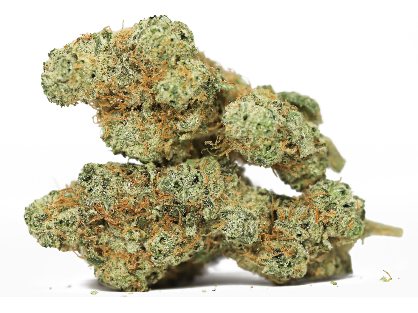 SOUR PATCH KISS AAA RESTOCK.jpg SOUR PATCH KISS AAA RESTOCK.jpg