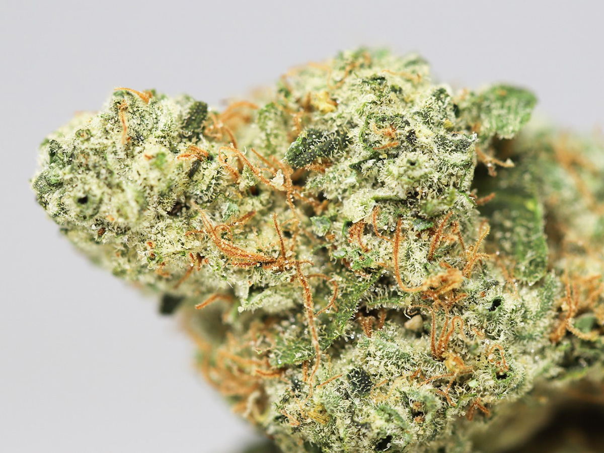 SOUR PATCH KISS CLOSE UP 2.jpg SOUR PATCH KISS CLOSE UP 2.jpg