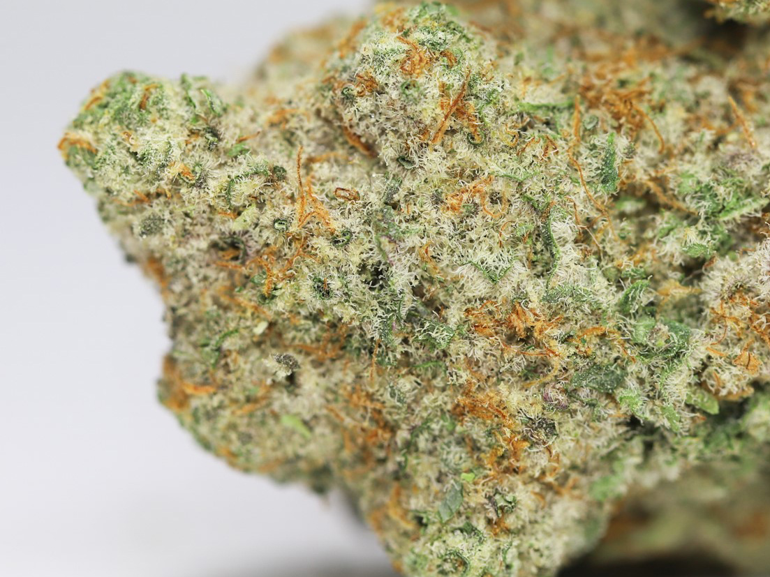 SOUR PINEAPPLE AAAA CLOSE UP.jpg SOUR PINEAPPLE AAAA CLOSE UP.jpg