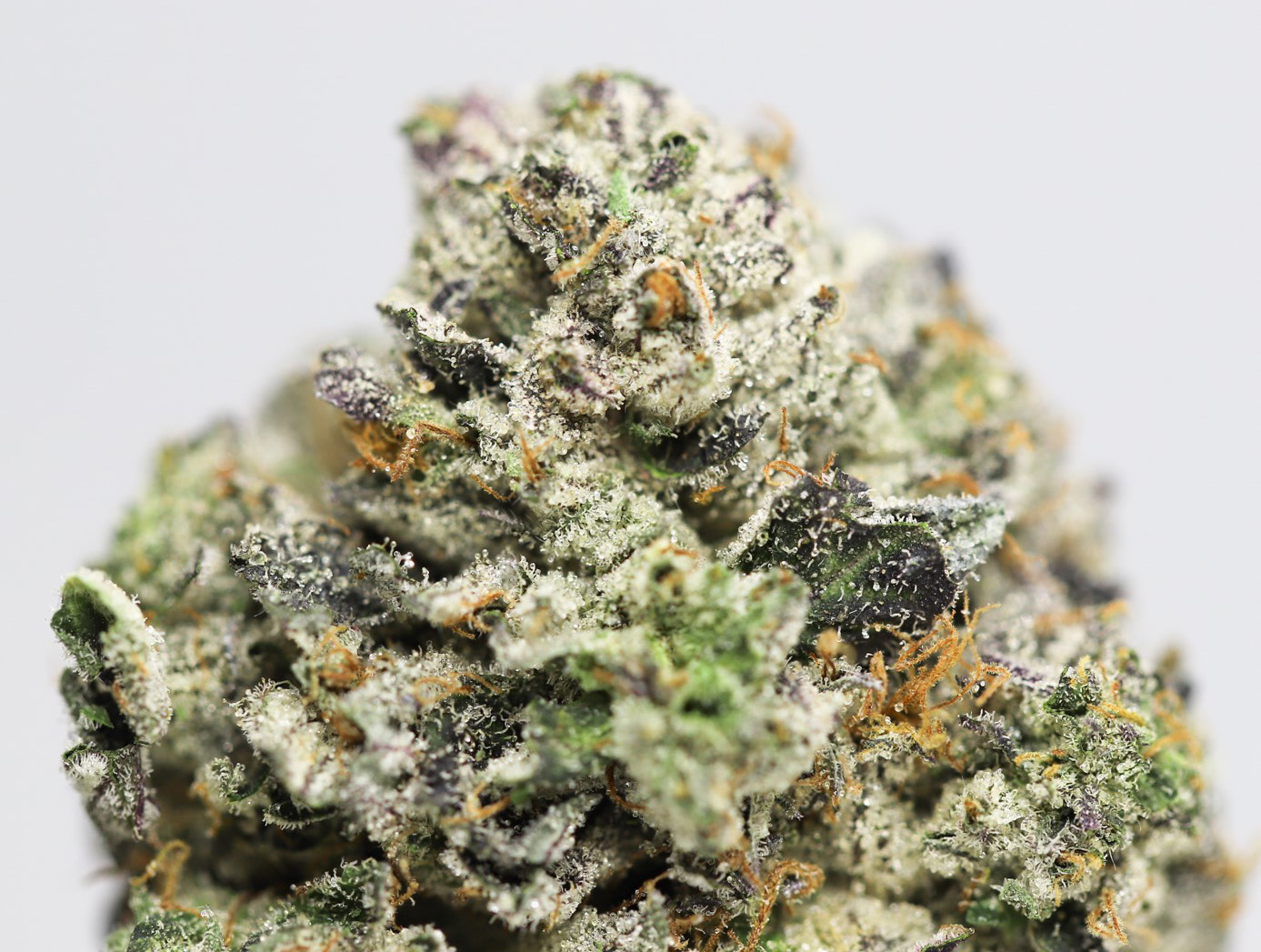 STORMTROOPER CLOSE UP.jpg STORMTROOPER CLOSE UP.jpg