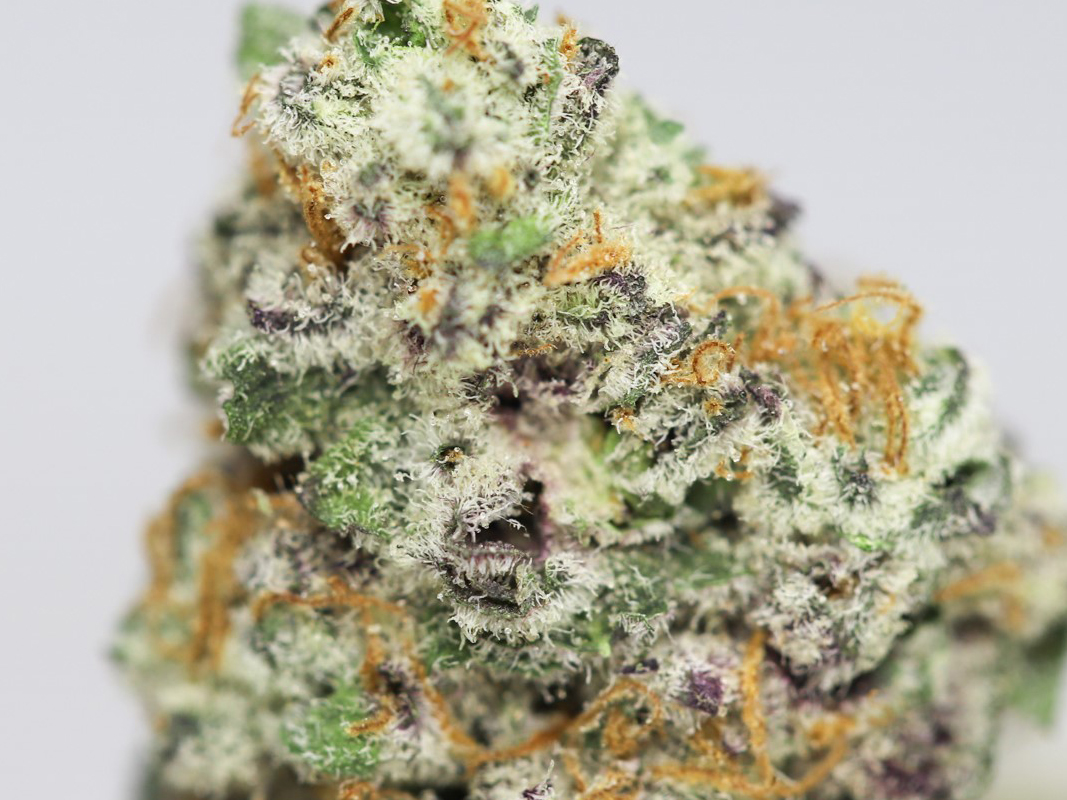 STRAWBERRY BANANA CLOSE UP 1.jpg STRAWBERRY BANANA CLOSE UP 1.jpg
