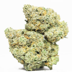 STRAWBERRY COUGH AAAA RESTOCK.jpg