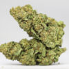 STRAWBERRY SHORTCAKE AA RESTOCK.jpg