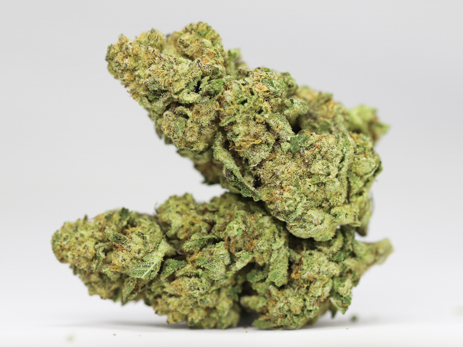STRAWBERRY SHORTCAKE AA RESTOCK.jpg STRAWBERRY SHORTCAKE AA RESTOCK.jpg