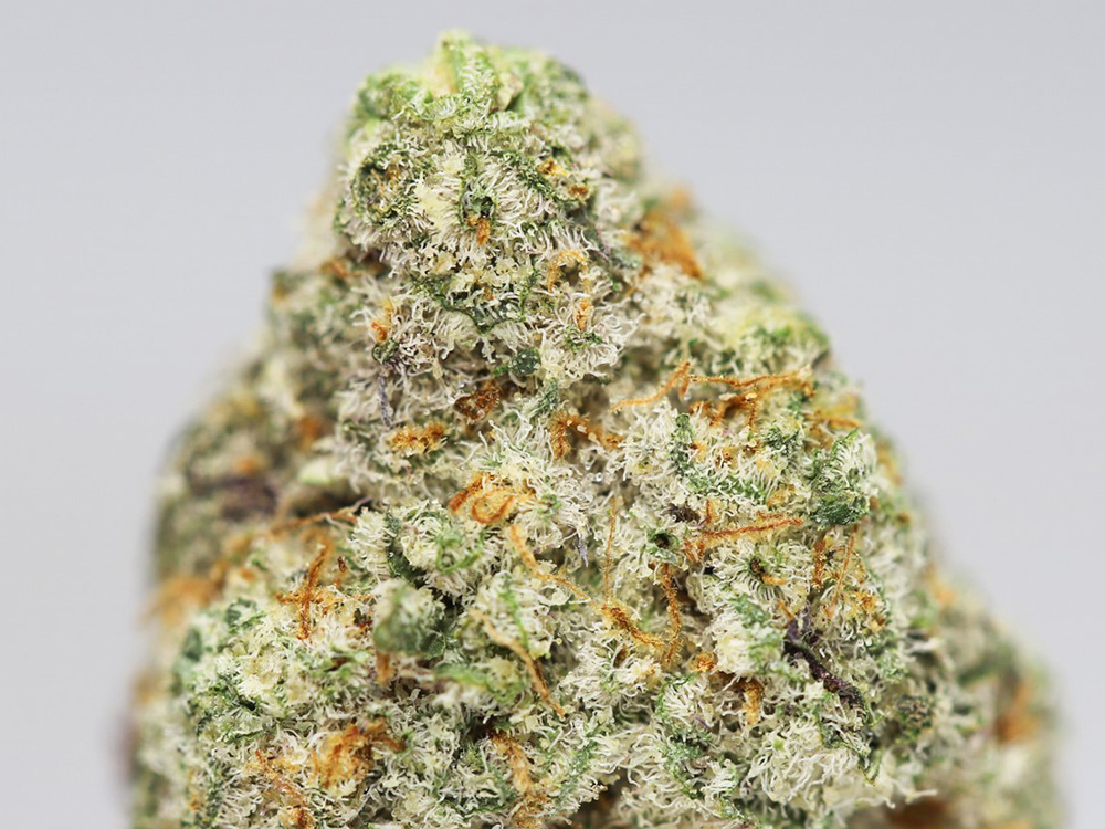 SUNDAE DRIVER AAA CLOSE UP.jpg SUNDAE DRIVER AAA CLOSE UP.jpg