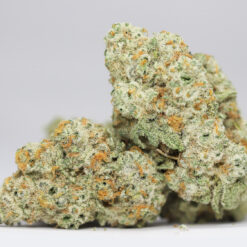 SUNDAE DRIVER AAA RESTOCK 1.jpg