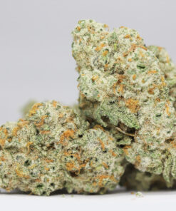 SUNDAE DRIVER AAA RESTOCK 1.jpg