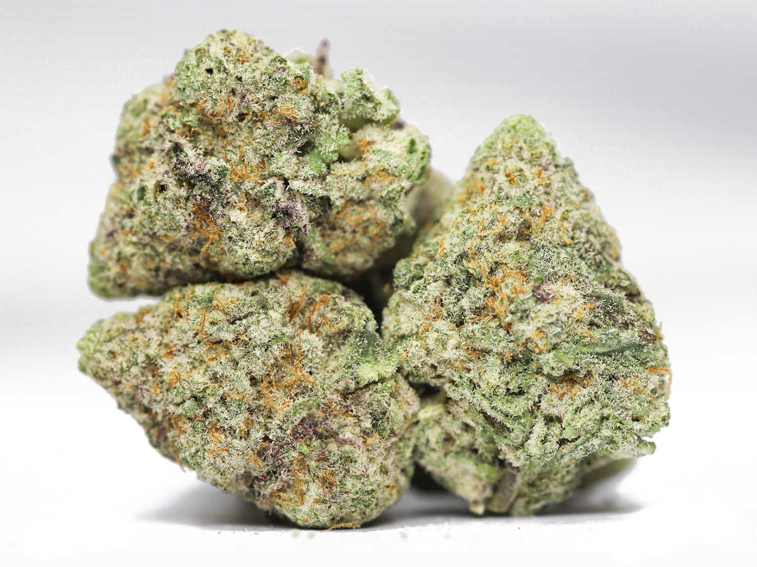 SUNDAE DRIVER AAA RESTOCK.jpg SUNDAE DRIVER AAA RESTOCK.jpg