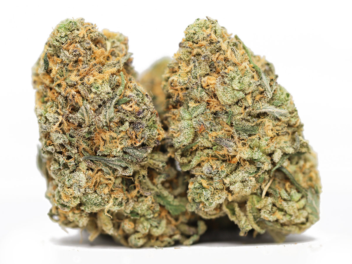 SUNSET SHERBERT AAA RESTOCK.jpg SUNSET SHERBERT AAA RESTOCK.jpg