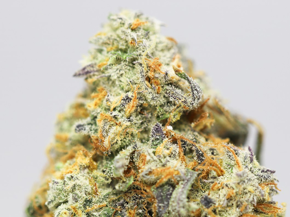 SUPER SOUR DIESEL CLOSE UP.jpg SUPER SOUR DIESEL CLOSE UP.jpg