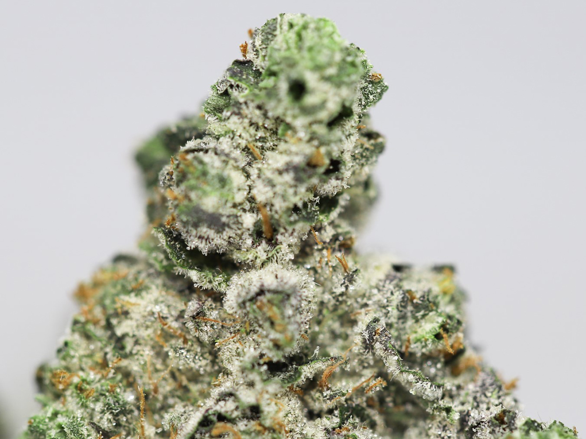 SUPERMAN OG AAA CLOS EUP.jpg SUPERMAN OG AAA CLOS EUP.jpg