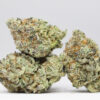 Silver Back Gorilla kush AAAA restock 1.jpg