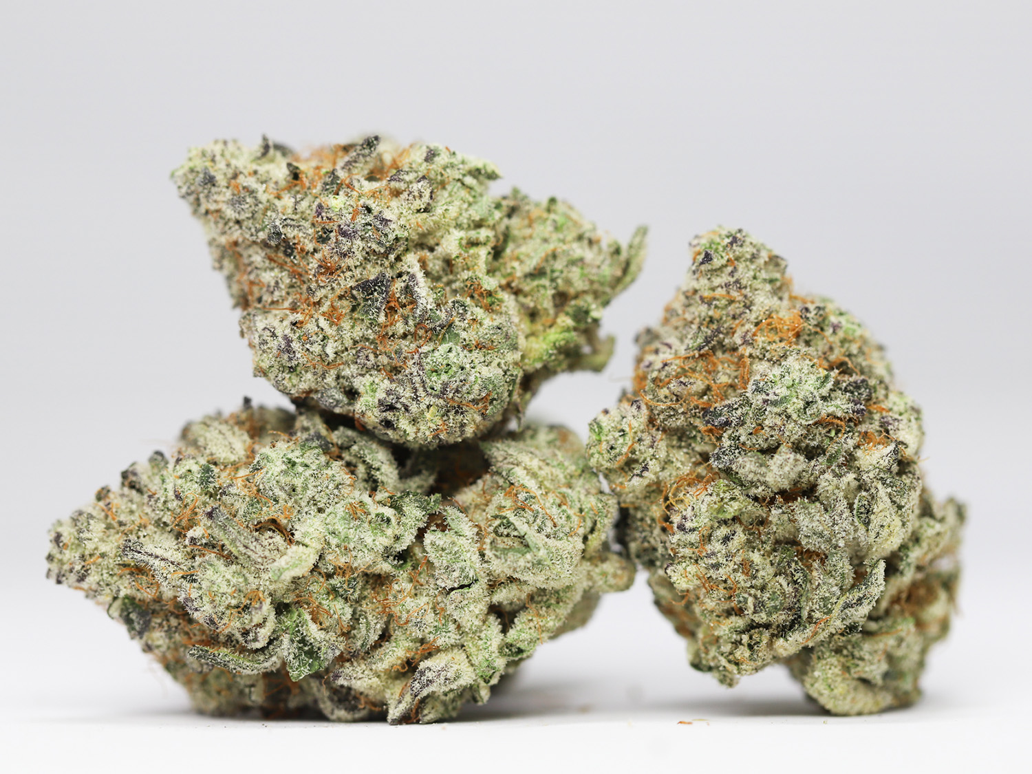 Silver Back Gorilla kush AAAA restock 1.jpg Silver Back Gorilla kush AAAA restock 1.jpg