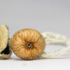 TEXAS YELLOW CAP SHROOMS RESTOCK.jpg