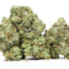 The Gas AAAA 3 THE GAS AAAA RESTOCK.jpg