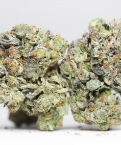 TOM FORD PINK KUSH AAA RESTOCK 1.jpg