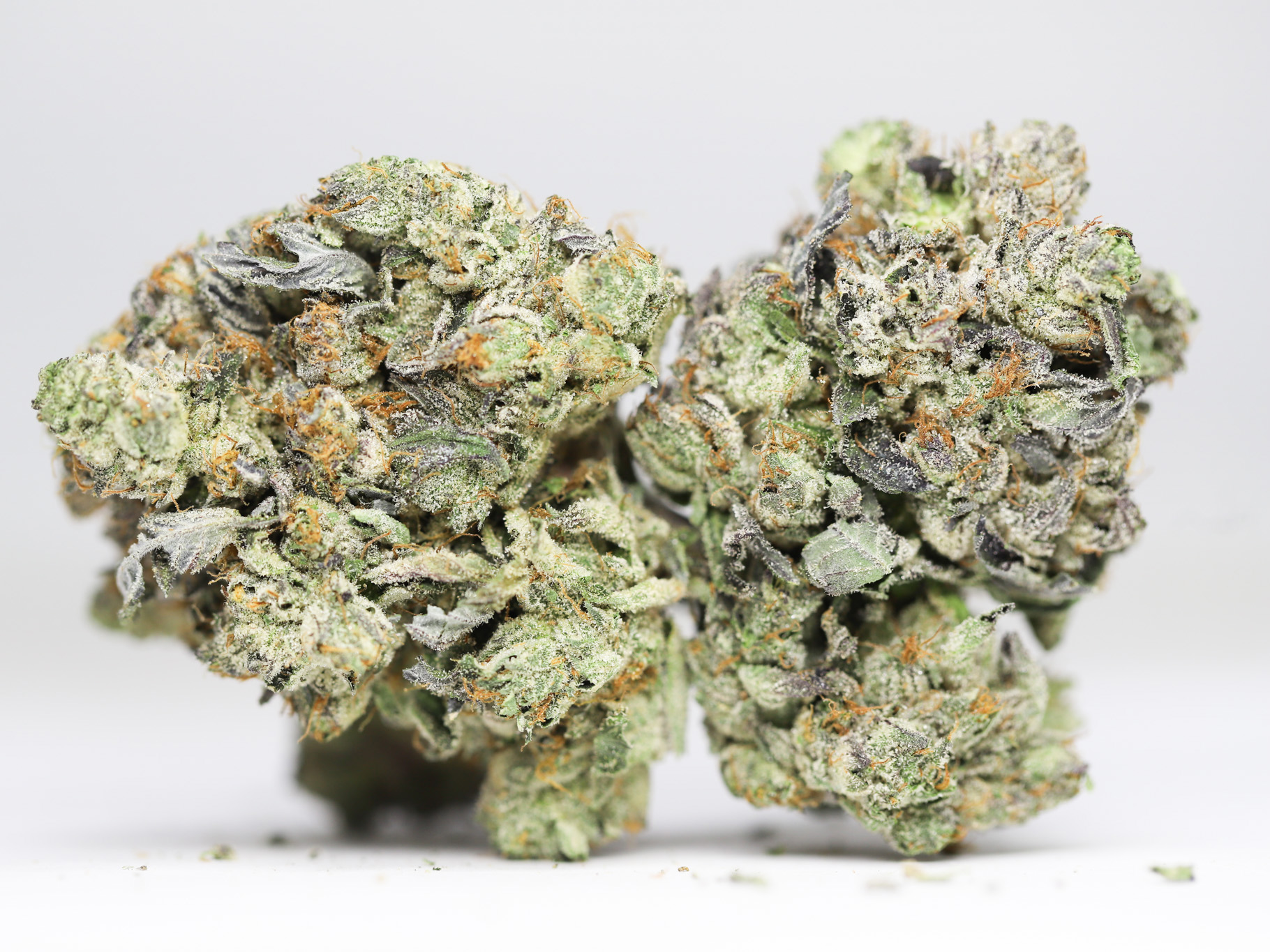 TOM FORD PINK KUSH AAA RESTOCK 1.jpg TOM FORD PINK KUSH AAA RESTOCK 1.jpg