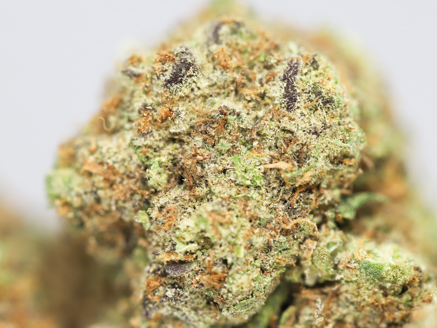 TRAINWRECK AA CLOSE UP 2.jpg TRAINWRECK AA CLOSE UP 2.jpg