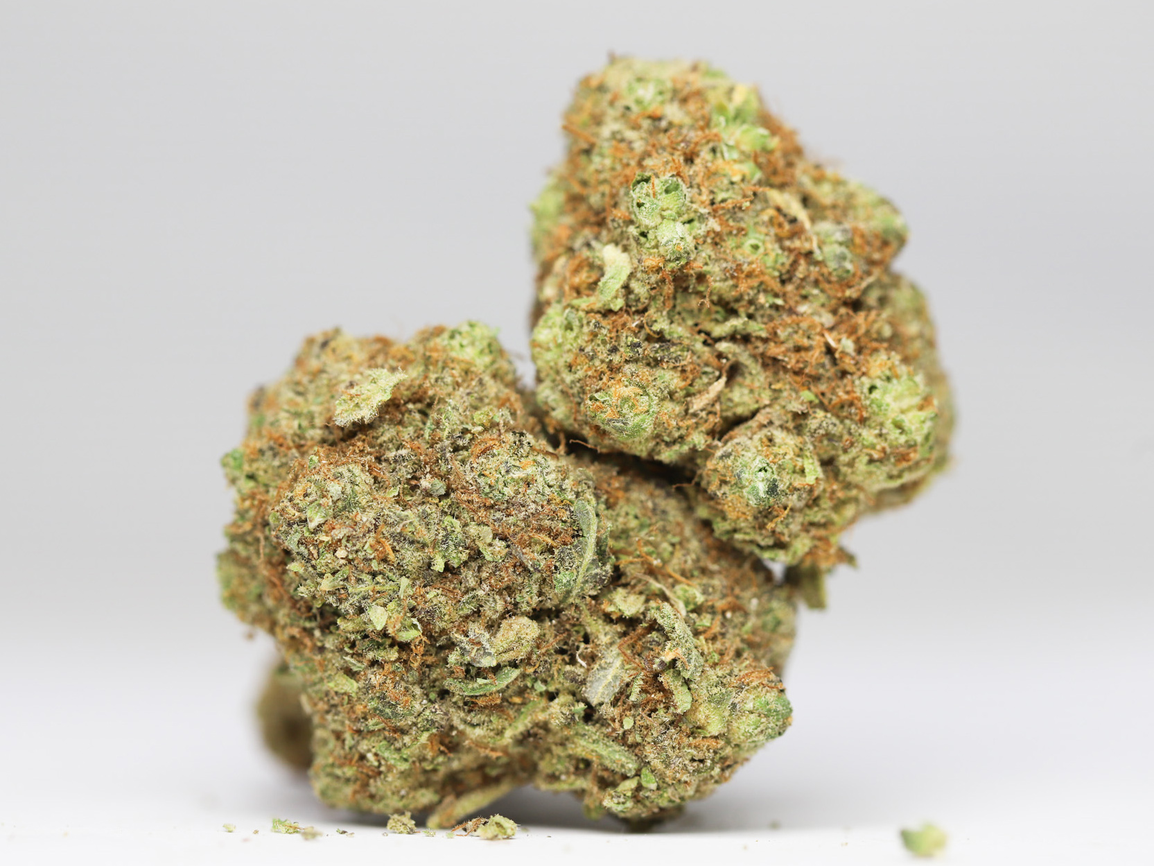 TRAINWRECK AA RESTOCK 3.jpg TRAINWRECK AA RESTOCK 3.jpg