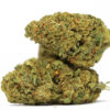 TROPIC THUNDER AA RESTOCK.jpg
