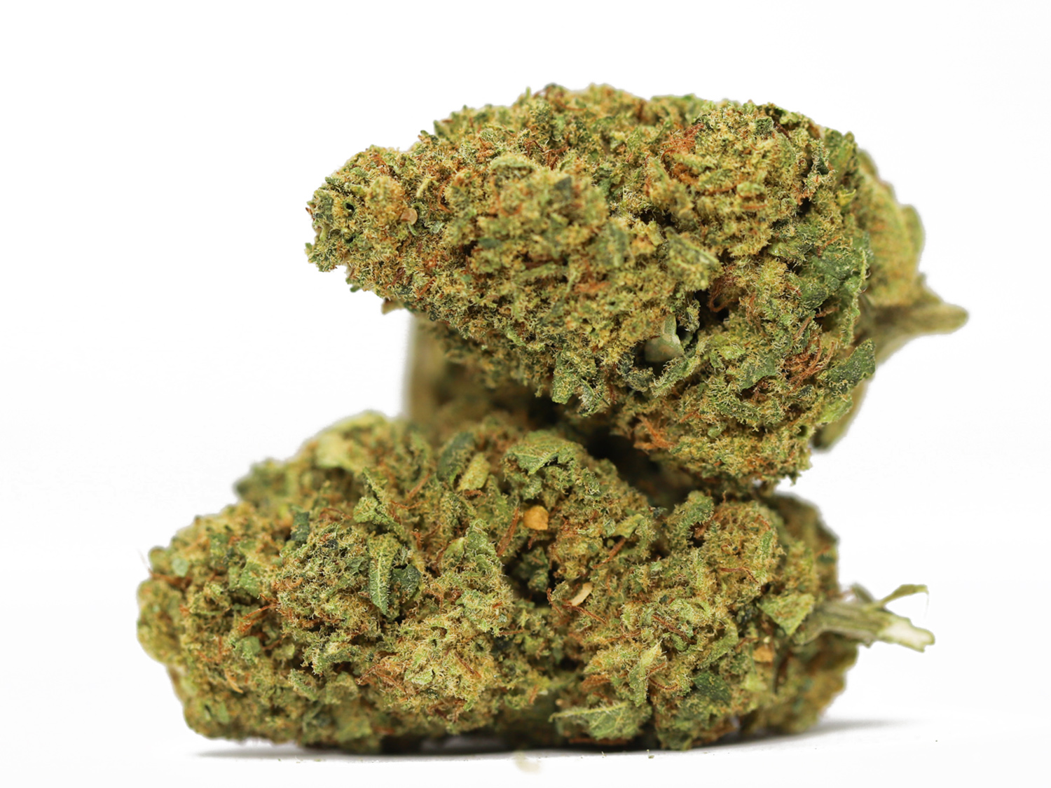 TROPIC THUNDER AA RESTOCK.jpg TROPIC THUNDER AA RESTOCK.jpg